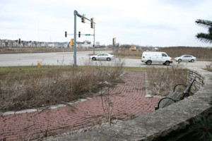 IMG_7318